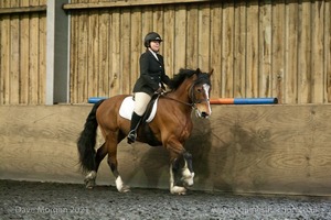 Isis Dressage Crown Farm Show 29th April 2012